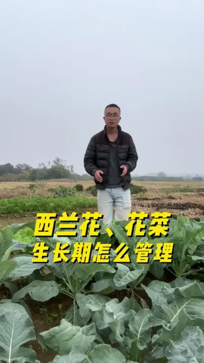 ô#ֲС #ֲ #ѧֲ#עһѧֲ #ũ