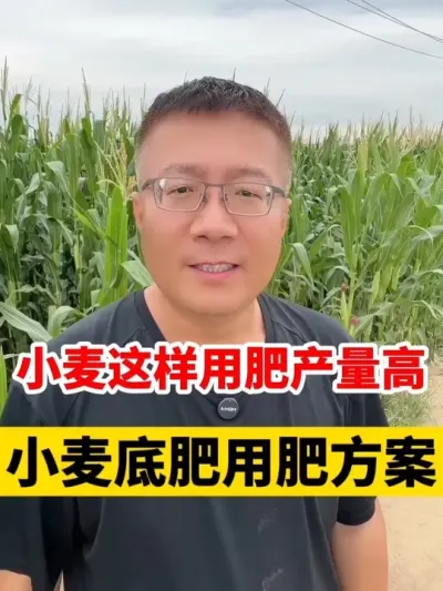 С÷ʲС߲׷÷ʼƻ # #С׷ #С߲ #Сݪֲ #Сݪֲ