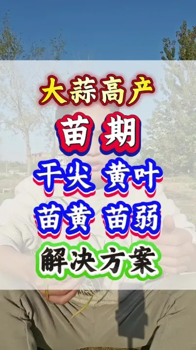 Ϊʲô3ƬҶӵ5ƬҶ֮ɼҶԵԭӦȥ#ݪֲ #߲ #ִ #Ƥ #