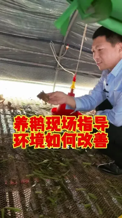 ٭ֳָֱ# # # # #ʨͷ