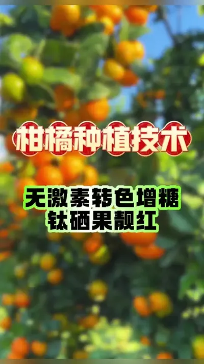 תɫ޼ظ徲#ݪֲ #ٹ #תɫ #ũ #ũݪֲ