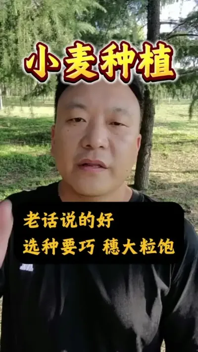 ѡҪ#Сݪֲ #Сѡ