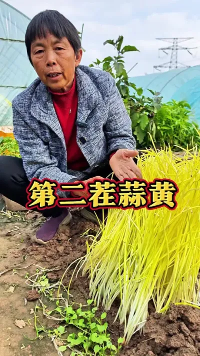 ϲ#ũ # #߲ #ݪֲС @С @DOU+С @DOU+