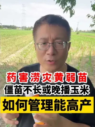 ׻ҩֻܸ߲ #ݪֲ #׸߲ݪֲ #׸߲ #׹ #ݪֲ