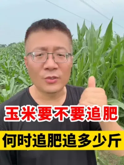 ҪҪ׷׷ʲôʱ׷׷ʲô׷ #ݪֲ #ݪֲ #׸߲ݪֲ #׷ #ݪֲ