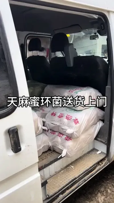 ۻͻ #ũ #ݪֲ #ۻ@С