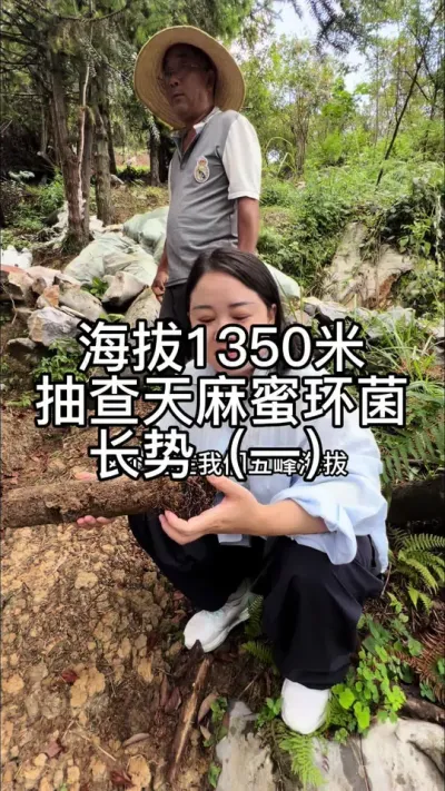 1350׳ۻƣһ #ũݪֲ #ũ #ݪֲ @С