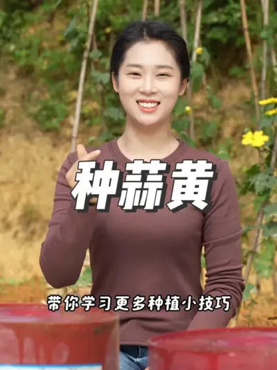 óԵ˶ݪֲ # #ݪֲС #עһѧֲ #ͥݪֲ