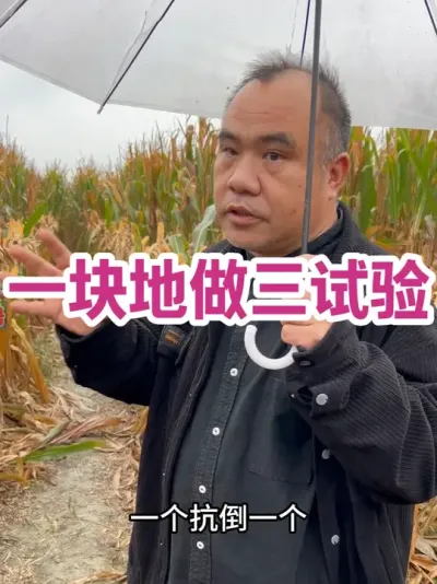 һ һվԪĥ븯Ϳ         ڶԪСĥС        3·ݵ10βݿݪֲף#ũҵݪֲ