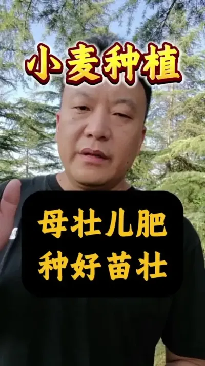 ĸ׳ֺ׳#Сݪֲ #С