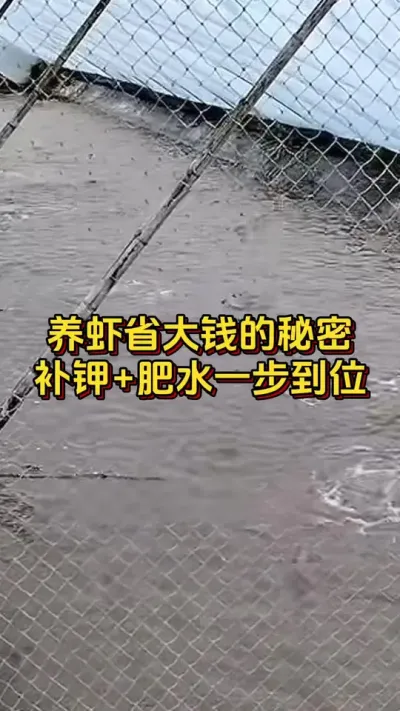 #οˮ#ĶϺ#׶Ϻֳ#ˮֳ#ο