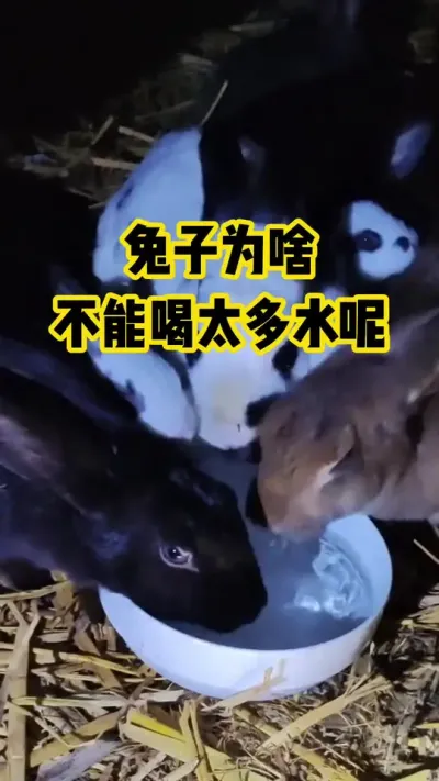 Ϊɶɺ̫ˮ#ũ#ֳ#