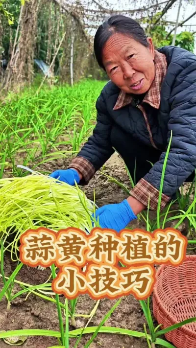 ƵݪֲҪ Ƶļڵ#ݪֲ # #