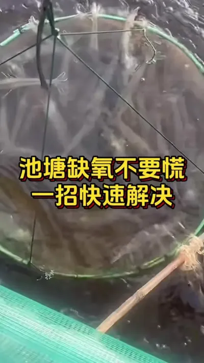 #ĶϺ#οˮ#ο#׶Ϻֳ#Ϻзֳ