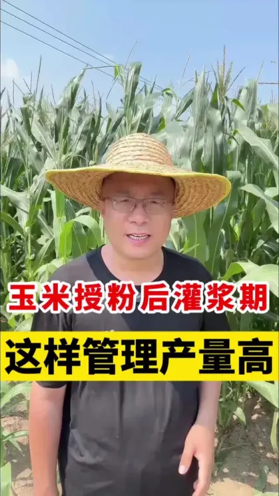 ڷۺཬ #ݪֲ #ݪֲ #ݪֲ #׹ #׸߲ݪֲ