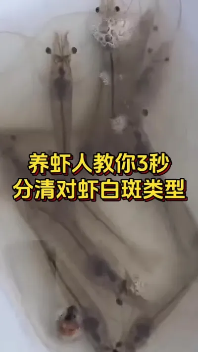 #ĶϺ#οˮ#οƼ #׶Ϻֳ #θ