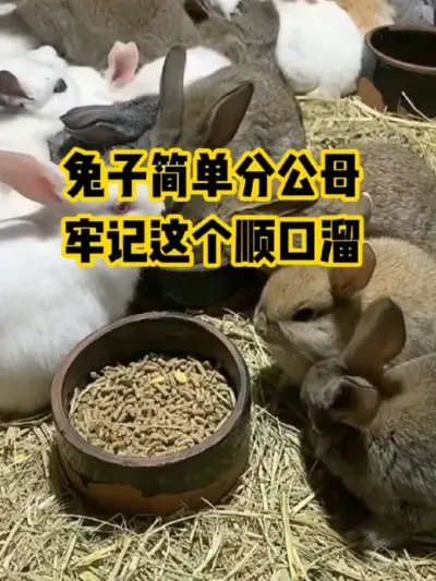 Ӽӷֹĸм˳#ũ#ֳ#