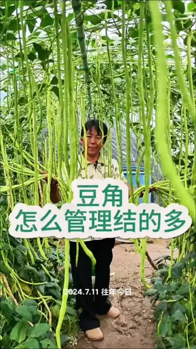 ﶹôĶ# #ũ #߲ #ݪֲС #ݪֲ @С @DOU+С @DOU+