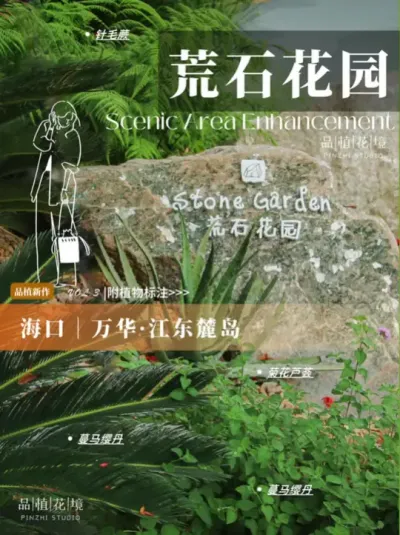 Ʒֲvol.3·´·ʯ԰“ԭ”԰ʯ~ǰѾͷԶ——ֻŻǰԭ? --··´ԭ 5D ָ