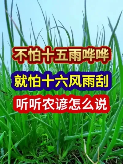 ʮ껩ʮũô˵ #ũҵ #ũ #ũϻ #ũ #ũ֧ũ