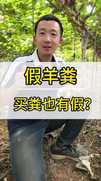 Ҳм #ݪֲ #ũ2022 #õ #ݪֲ #