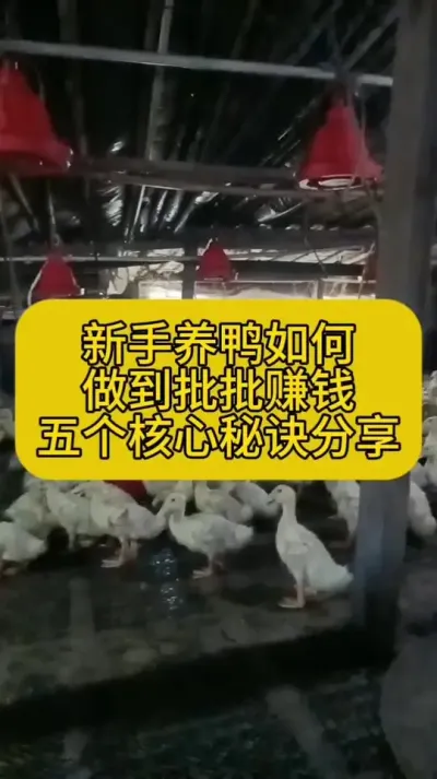 #Ѽ #Ѽ #Ѽ #Ѽ #Ѽֳ