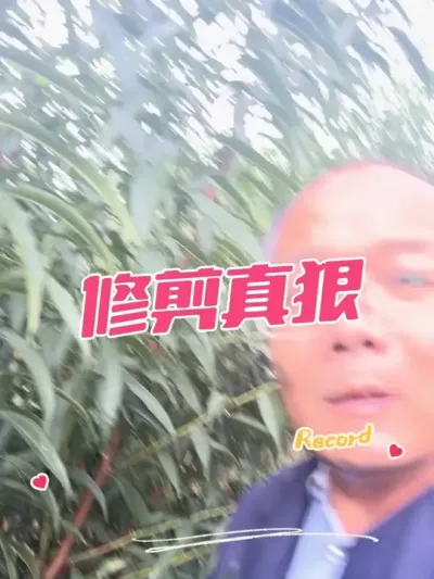 ＾޼ ˵Ʒʻžж#޼ #޼֦