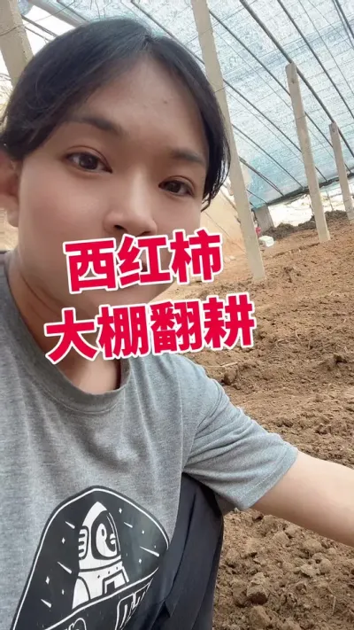 #������ݪֲ#����������#¶��������#����#���� ������ ������ʱ��ѯ��Ŷ @����С����