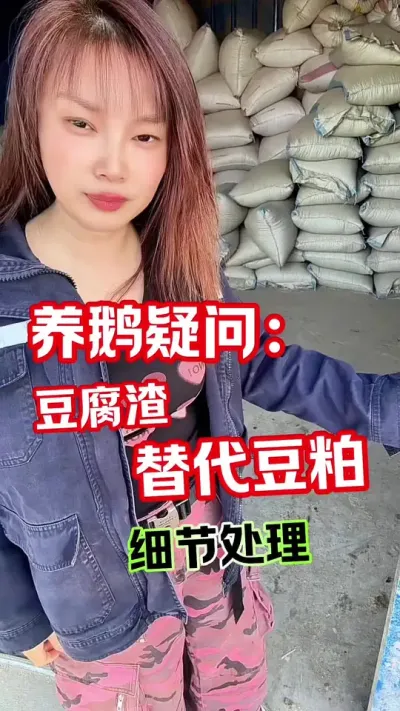 豆腐渣替代豆粕，注意这几个细节#养鹅技术分享 #养鹅人#狮头鹅