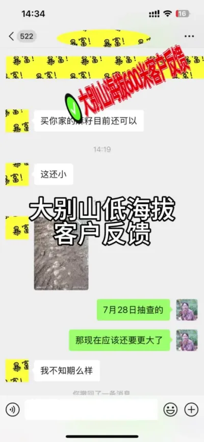 ɽͺοͻ ӺþֲŻɽ600׷#ݪֲ #շ #ҩݪֲ @С