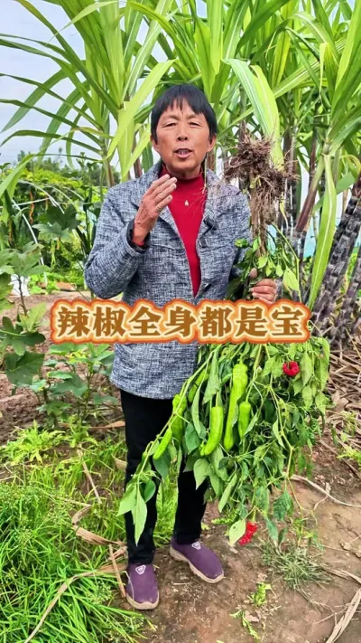 ֵĻ޷һ#ũ # #߲ @С @DOU+С @DOU+