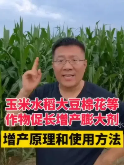 ˮ޻а鴼÷ã #ݪֲ #ݪֲ #׸߲ݪֲ #׸߲ #׹