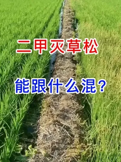 ������������ܸ�ʲô���� #����������רҵ��  #ũҵݪֲ  #��ũݪֲ  #����ũҵ֪ʶ��ũ����������