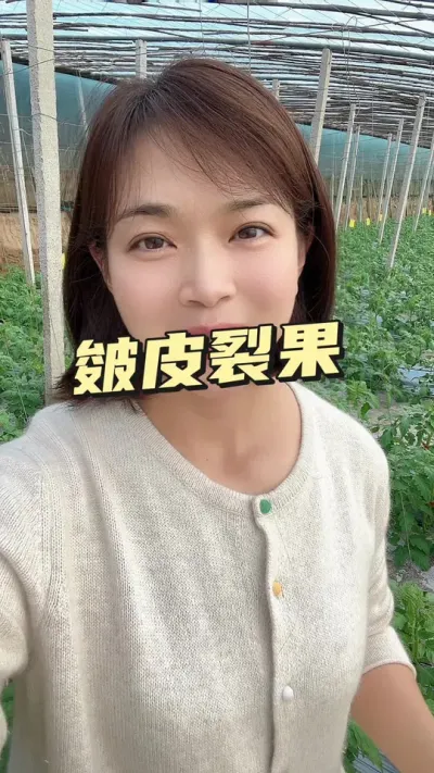 #ݪֲ#ѹ#Ƕ##¼ҵݪֲ ҪСƳµ@С