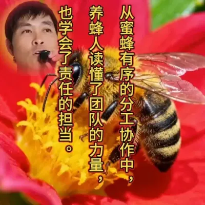 # # # ##̾ɫ۹Щ紵ɹ֧ĵ׵İ˵ĳɼˣЩ̸һо@С