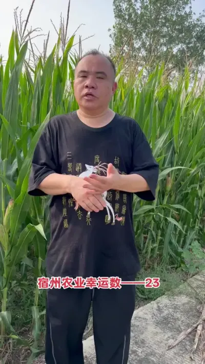 С붬Ʒ1023Ҳװ623ҲΣȲ׸߲