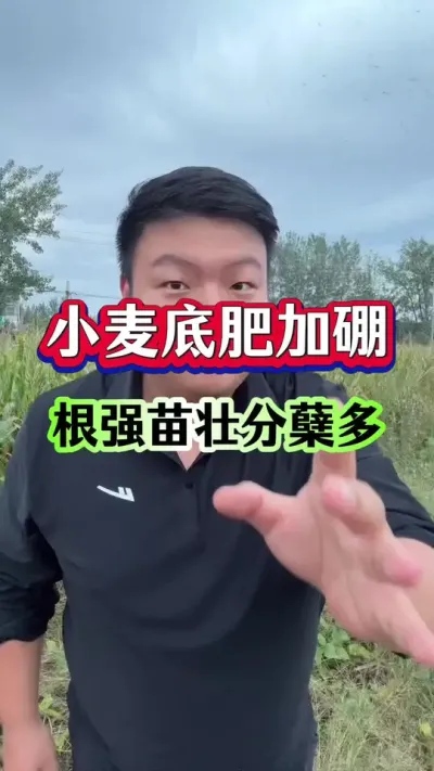 С׷ʼǿ׳࣡ #ݪֲС #Сݪֲ #С׷ #