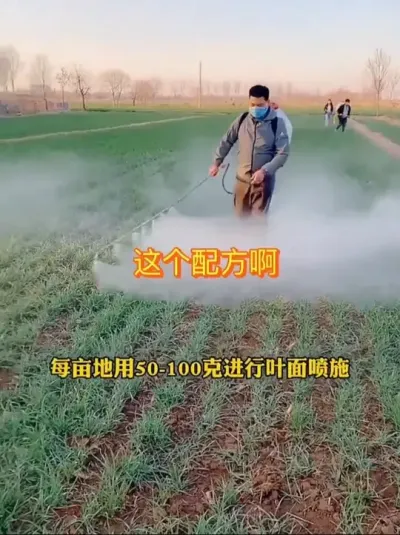 #Сݪֲ #С߲ #ְͶƽ ҶһСձƽ