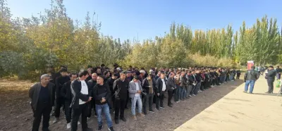 ũ٤ʦ400Ķ10÷Ϲ԰ˢʵ……#ũݪֲ #ũ#÷ݪֲ #ũ