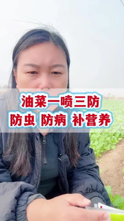 Ͳһײ#Ͳݪֲ #Ͳ˲溦 #Ͳһ #Ͳݪֲ