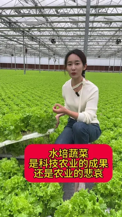 #ݪֲ#ˮ߲#Ưˮˮ߲ũҵƼЧվũҵı