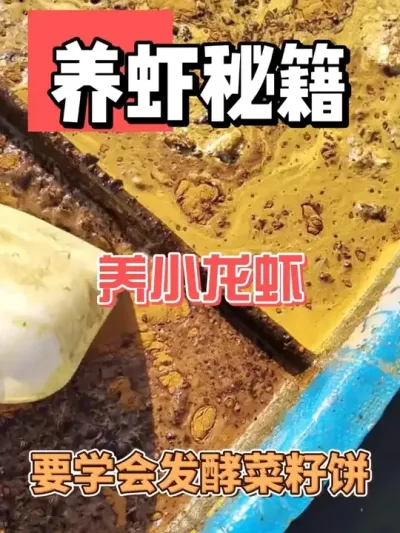 СϺһҪѧڼҾ #ũ #ũҵ #СϺ # #ʢ