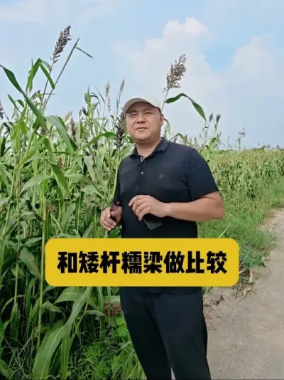 #ݪֲ #չ@? @ɼӹũҵ @ũҵ @ũʶũ