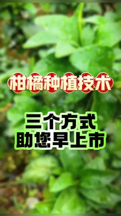 ݪֲ#ݪֲ #ũҵݪֲ #ũ #ٹ #ũ