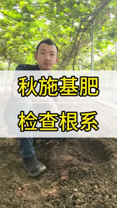 ʩʺ ϵ #ݪֲ #ũ2022 #õ #ݪֲ #ݪֲ