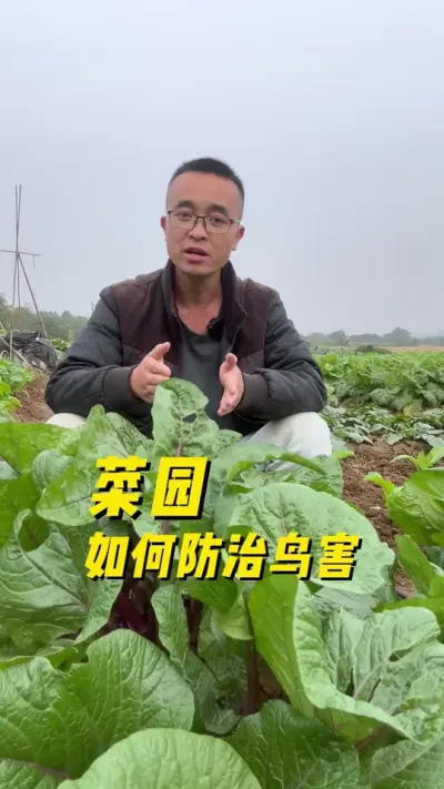 ԰#ֲС #ͥݪֲ #ֲ #ѧֲ #עһѧֲ