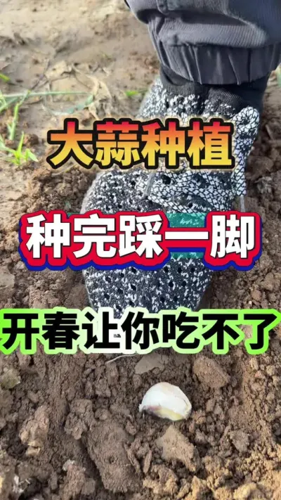 ߲ݪֲ#ݪֲ #߲ #ⲡ