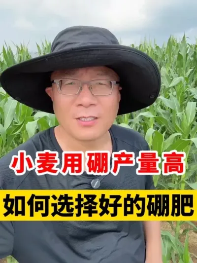 СʴƷƷ #Сݪֲ #Сݪֲ #С߲ #С׷ #