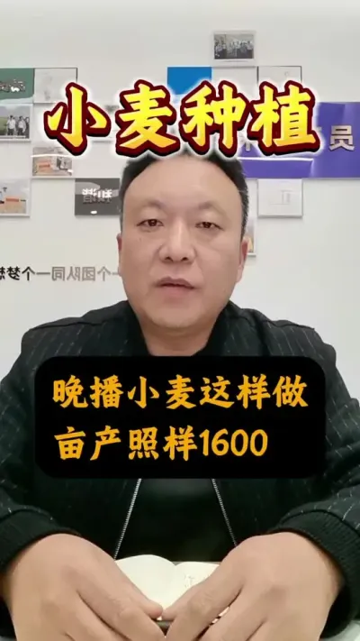 СҲԴ1600#Сݪֲ #С