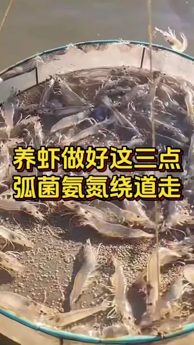 #οˮ#ĶϺ#׶Ϻֳ #θ#׳